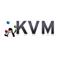 KVM VPS Server